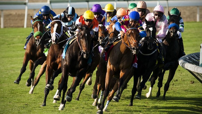 Betting on horse racing 1