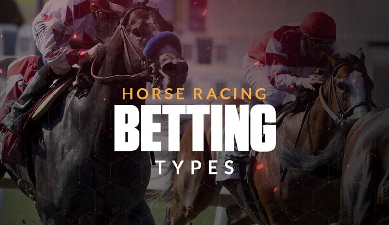 Betting on horse racing 3