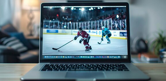 NHL OVERVIEW AND BETTING ON IT